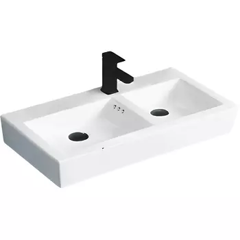 Раковина Ceruttispa