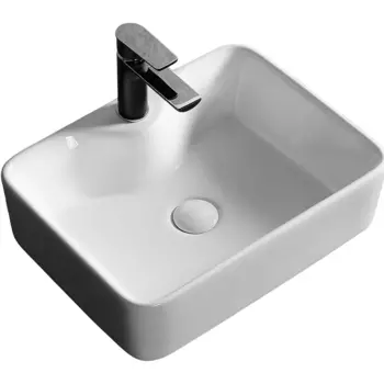 Раковина Ceruttispa