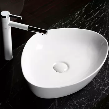 Раковина-чаша Ceruttispa