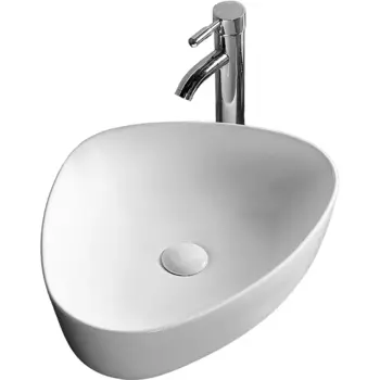 Раковина-чаша Ceruttispa