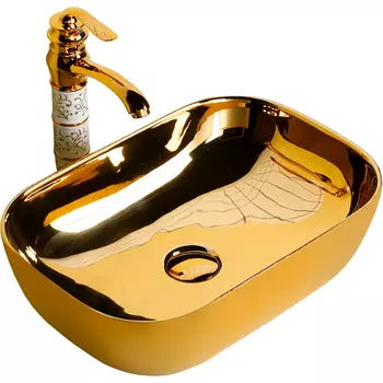 Раковина-чаша Ceruttispa