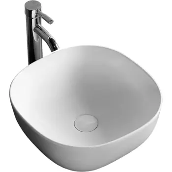 Раковина-чаша Ceruttispa