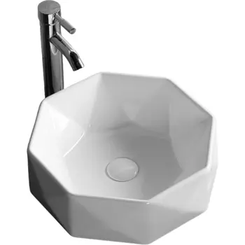 Раковина-чаша Ceruttispa