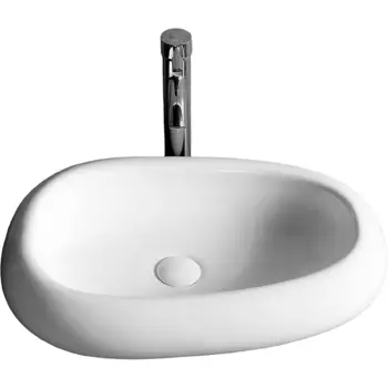 Раковина-чаша Ceruttispa