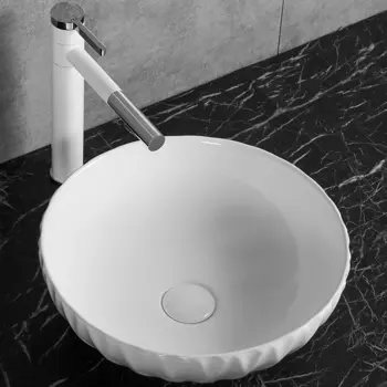 Раковина-чаша Ceruttispa