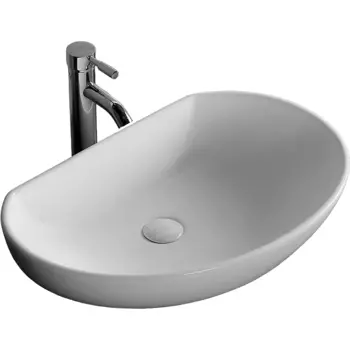 Раковина-чаша Ceruttispa