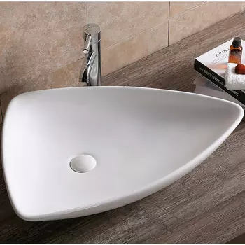 Раковина-чаша Ceruttispa