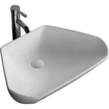 Раковина-чаша Ceruttispa