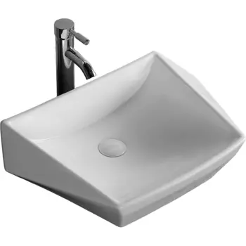 Раковина-чаша Ceruttispa