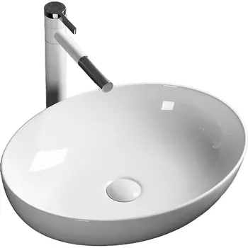 Раковина-чаша Ceruttispa