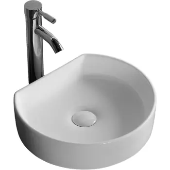 Раковина-чаша Ceruttispa