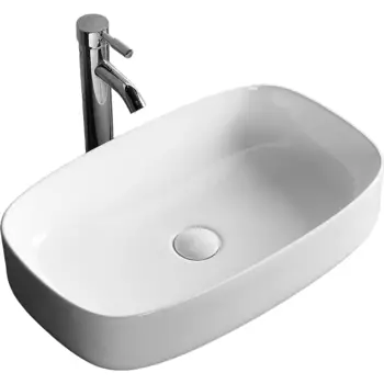 Раковина-чаша Ceruttispa