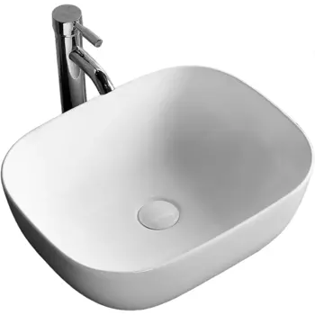 Раковина-чаша Ceruttispa