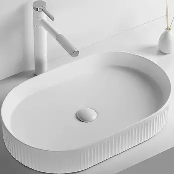 Раковина-чаша Ceruttispa