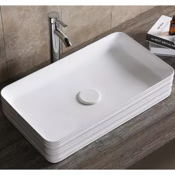 Раковина-чаша Ceruttispa