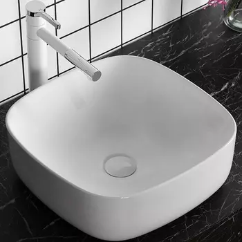 Раковина-чаша Ceruttispa