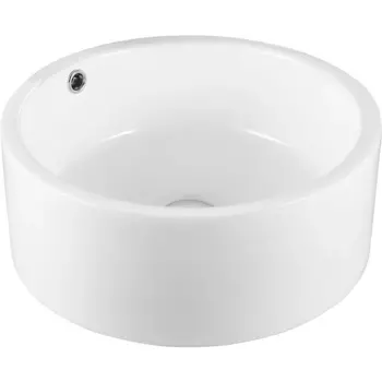 Раковина-чаша Ceruttispa