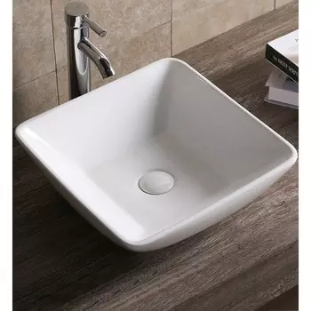 Раковина-чаша Ceruttispa