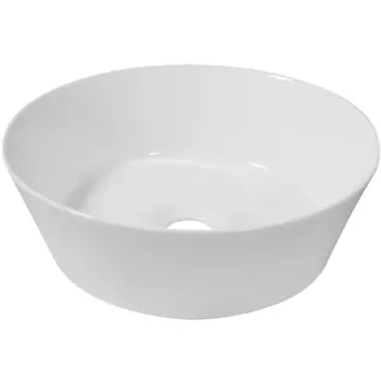 Раковина-чаша Ceruttispa