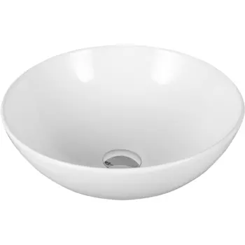 Раковина-чаша Ceruttispa