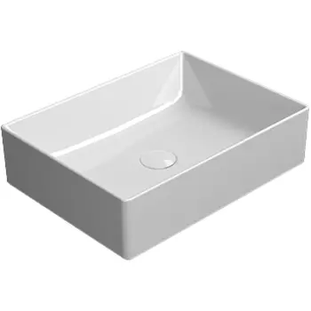 Раковина-чаша GSI