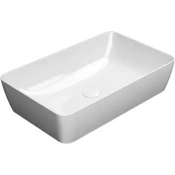 Раковина-чаша GSI