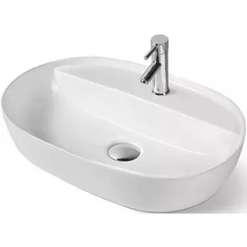 Раковина-чаша Vincea