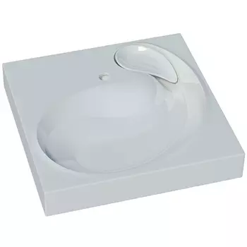 Раковина Stella Polar