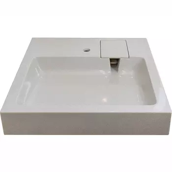 Раковина Stella Polar