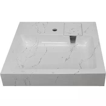 Раковина Stella Polar