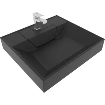 Раковина Stella Polar