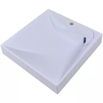 Раковина Stella Polar