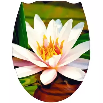 Сиденье для унитаза Fora