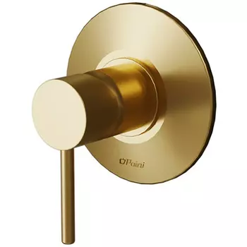 Смеситель для душа Paini