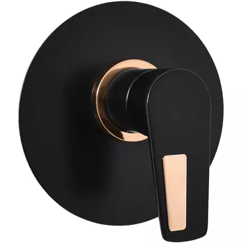 Смеситель для душа Rav Slezak