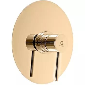 Смеситель для душа Rav Slezak