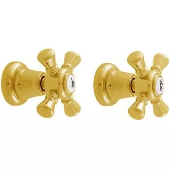 Смеситель для душа Rav Slezak