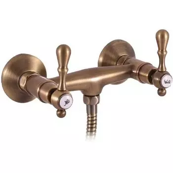 Смеситель для душа Rav Slezak