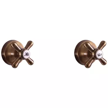 Смеситель для душа Rav Slezak