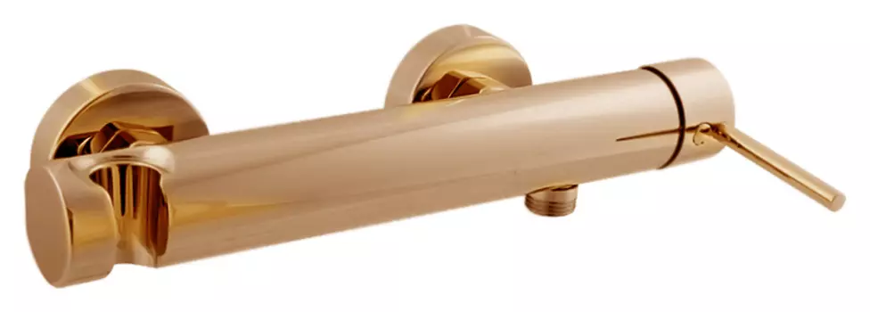 Смеситель для душа Rav Slezak