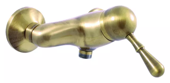 Смеситель для душа Rav Slezak