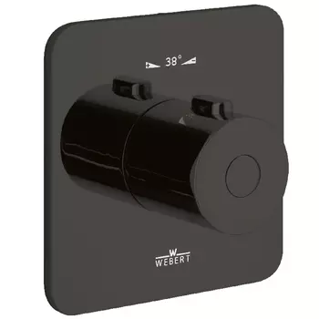 Смеситель для душа Webert