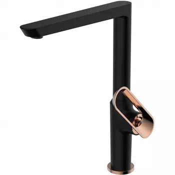 Смеситель для кухни Bien