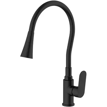 Смеситель для кухни Splenka