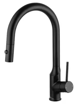 Смеситель для кухни Wonzon & Woghand