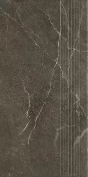 Ступень Ceramika Paradyz