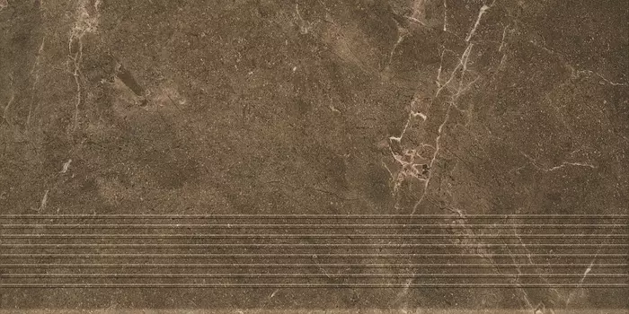 Ступень Ceramika Paradyz