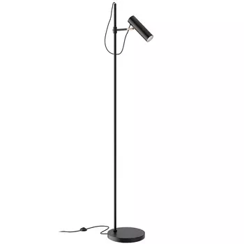 Торшер Maytoni