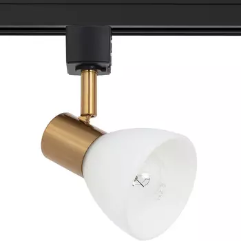 Трековый светильник Artelamp