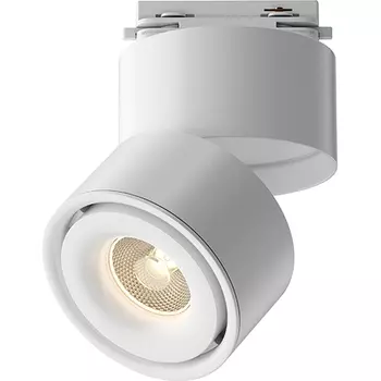 Трековый светильник Maytoni